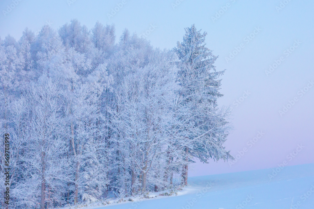 雪景色 雪景色