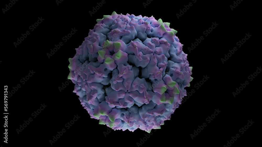 Coxsackievirus A6 structure, hand foot and mouth disease virus. HFMD 3d