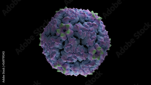 Coxsackievirus A6 structure, hand foot and mouth disease virus. HFMD 3d rendering medical illustration. Black background isolated CVA6 particle. photo