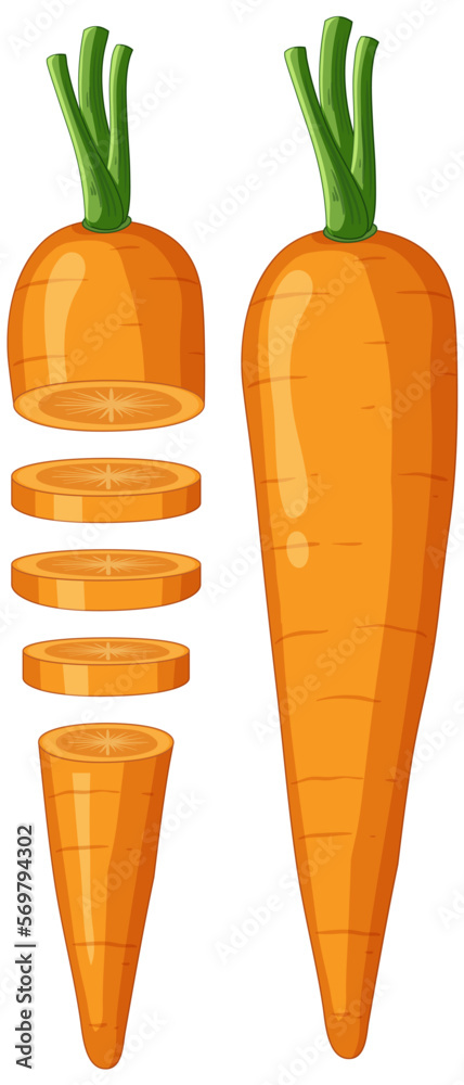 Carrot in whole and sliced pieces Carrot in whole and sliced pieces