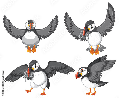 Set of puffin bird cartoon character in different poses
