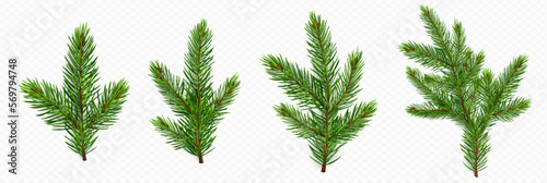 Foto Pine tree branch set realistic vector illustration