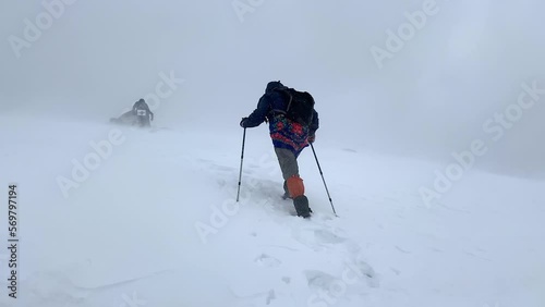 A group of tourists climbs uphill in a heavy snowstorm. Climbers with small backpacks and trekking poles walk along a snowy slope in a strong wind. Journey through the mountains of Kyrgyzstan.