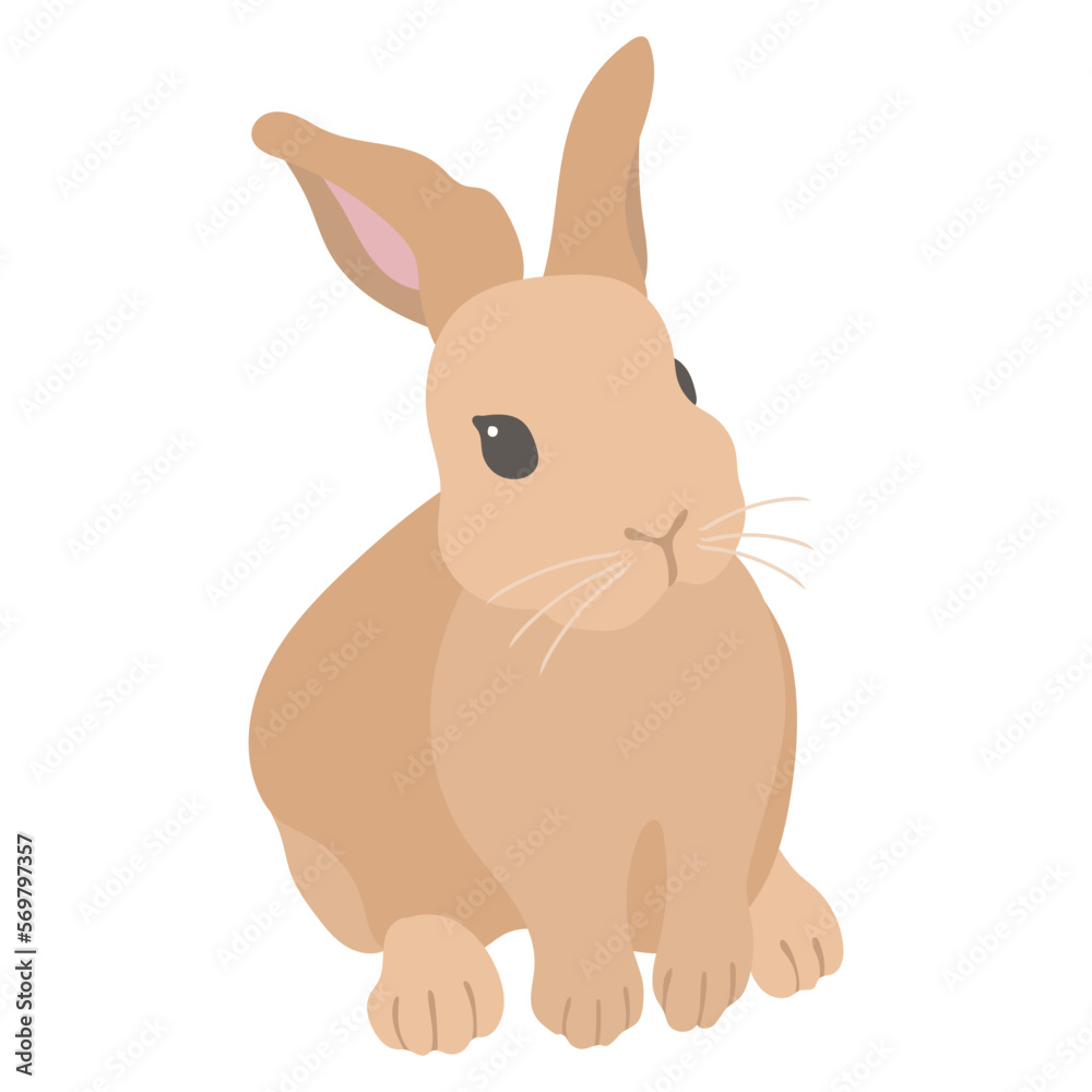 Obraz premium 茶色いウサギ。フラットなベクターイラスト。
