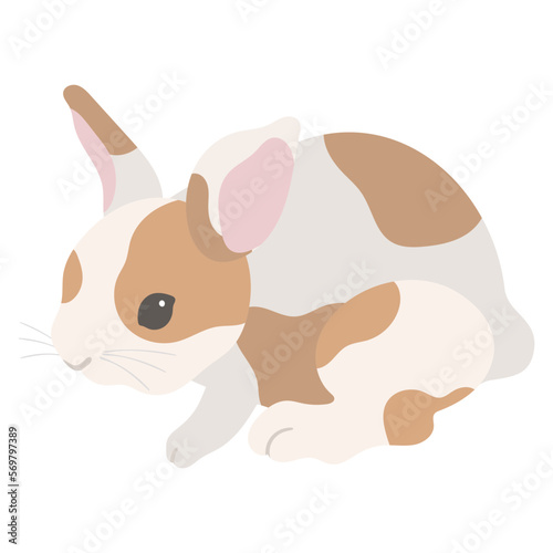 ぶち模様のウサギ。フラットなベクターイラスト。