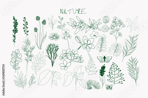 Collection of nature line art elements. Herbs and flowers icons. Editable vector illustration.