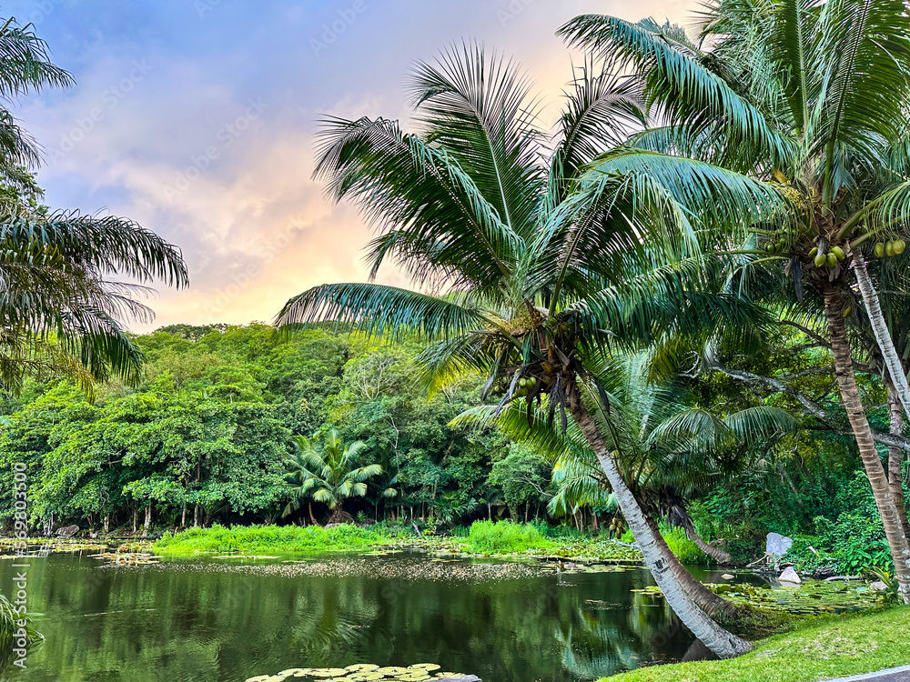 Seychelles tropical island with palm trees Seychelles tropical island with palm trees