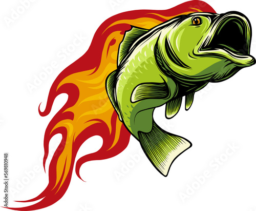 Natural Green Bass Fish in vector Illustration