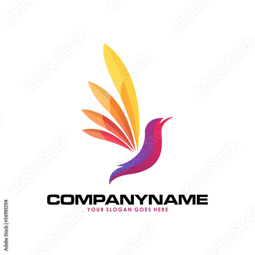 Colorful modern bird logo concept