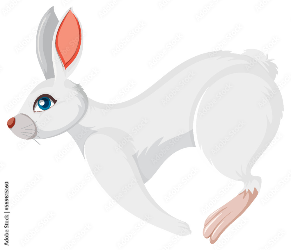 White rabbit jumping isolated White rabbit jumping isolated