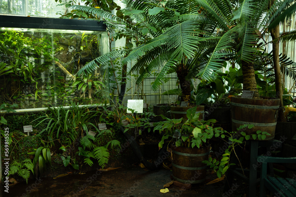 Greenhouse with tropical trees. All trees names written signboards.
