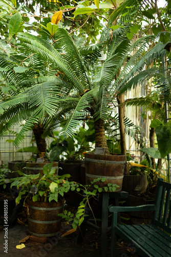 Greenhouse with tropical trees. All trees names written signboards.