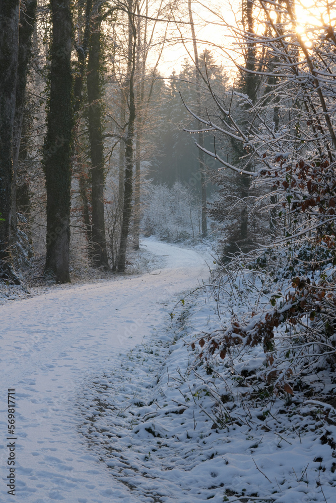 Verschneiter Weg im Wald mit schwindendem Licht Verschneiter Weg im Wald mit schwindendem Licht