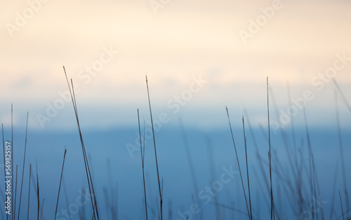 Soft focus on grass with blurry background of blue mountain and orange sky.