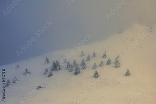 Obraz na płótnie Trees in Winter in Ciucas Mountains, Romania w salonie