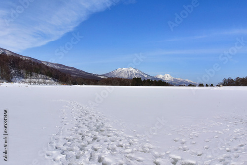 凍結した湖と冬景色