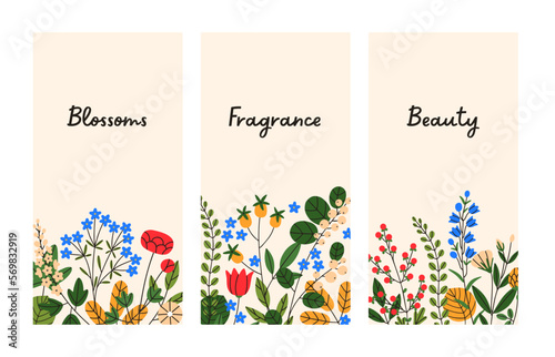 Nature cards with spring flowers. Floral botanical background designs set with summer gentle herbs, meadow blooming plants, beautiful field flora for vertical stories. Flat vector illustrations