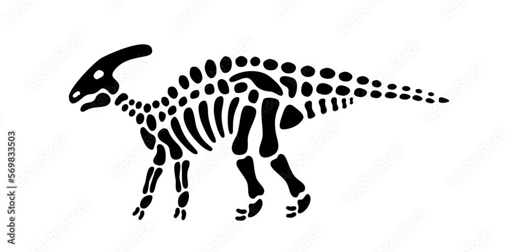 Fototapeta premium Parasaurolophus skeleton. Parasaurolophus fossil body parts. Dinosaur bones with skull. Dangerous ancient predator. Prehistoric creature bones