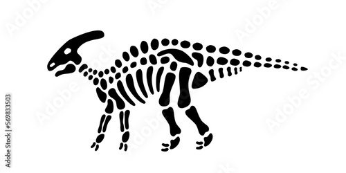 Parasaurolophus skeleton. Parasaurolophus fossil body parts. Dinosaur bones with skull. Dangerous ancient predator. Prehistoric creature bones