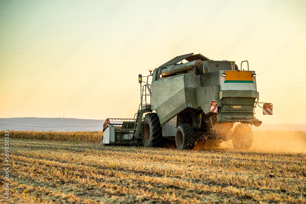 Obraz premium Working the field, a farmer in a combine harvester at work in a soybean agricultural farm