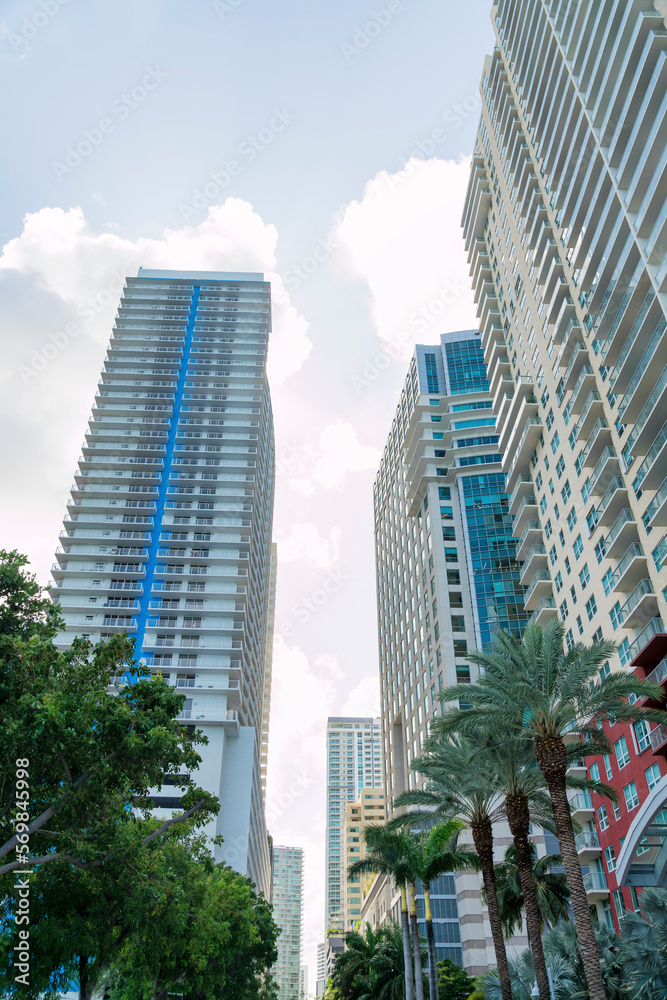 Modern high-rise buildings from a street view with trees at Miami, Florida. Views of multi-storey corporate and residential buildings against the white sky background. Modern high-rise buildings from a street view with trees at Miami, Florida. Views of multi-storey corporate and residential buildings against the white sky background.