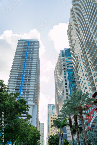Modern high-rise buildings from a street view with trees at Miami, Florida. Views of multi-storey corporate and residential buildings against the white sky background.