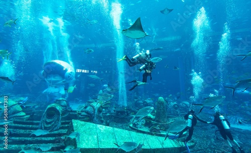 Photography Atlantis hotel aquarium