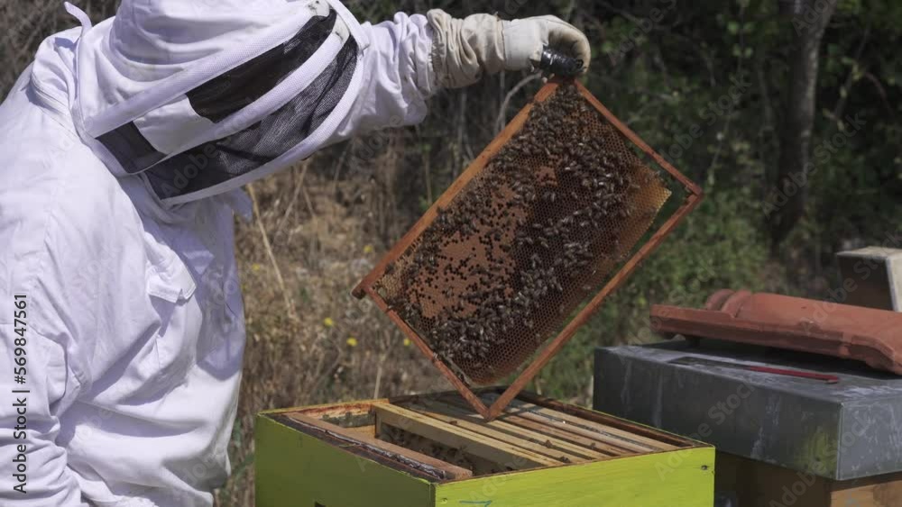 Man wearing a bee suit point and show the different part of a beehive Man wearing a bee suit point and show the different part of a beehive