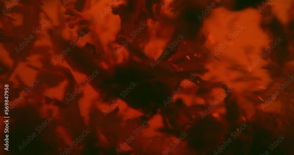 Black tea leaves float in a transparent rotating mug. Macro slow motion shot of the process of brewing herbal. Black tea leaves float in a transparent rotating mug. Macro slow motion shot of the process of brewing herbal.