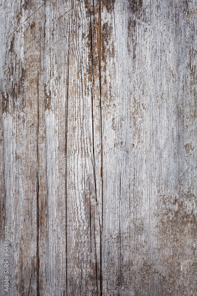Fototapeta premium empty gray old wooden texture