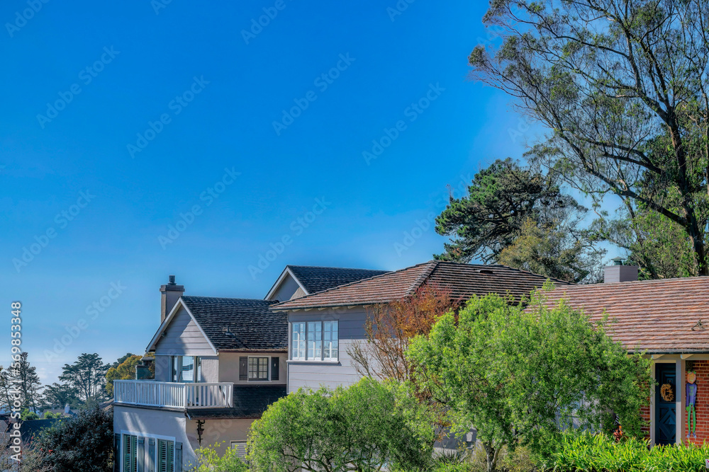 Houses amid blue sky and trees in San Francisco Califronia residential area. Gable roof, balcony, panelled wall and brick wall can be seen at the facade of the beautiful homes.