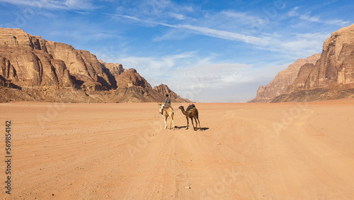 Bedouin camel ride in vast  dry Arabian desert of Wadi Rum in Jordan  Middle East