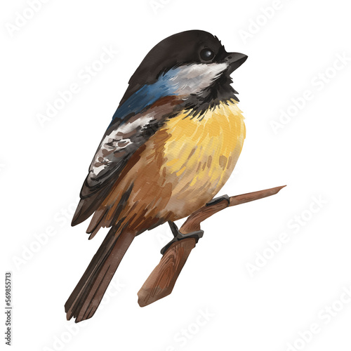 Canvas-taulu Watercolor forest tomtit bird illustration