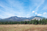 Beautiful landscape of the Sunset Crater Volcano National Monument from the road, meadow with pine trees and mountains on the horizon