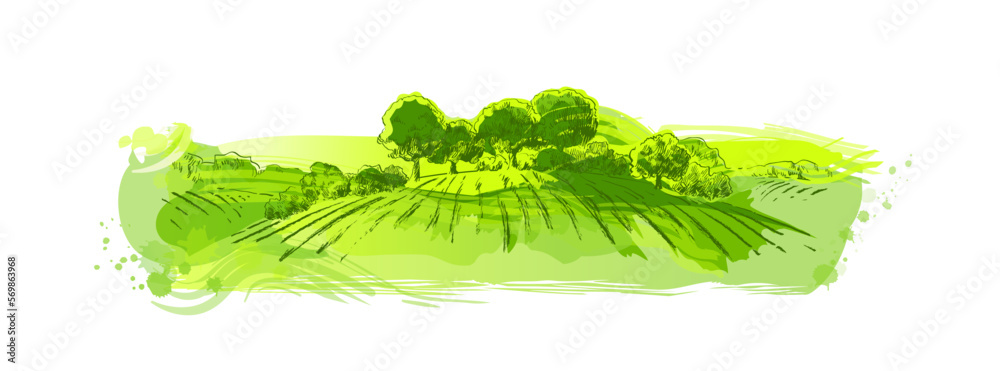 Watercolor green field landscape on small hill. Meadow grass, nature, pasturage, farm. Rural scenery landscape panorama of countryside pastures. Vector - obrazy, fototapety, plakaty 