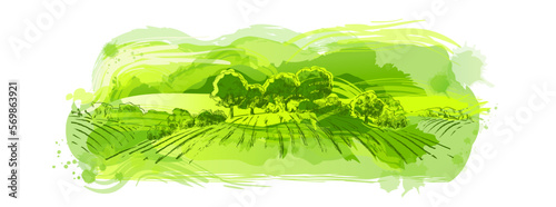 Watercolor green field landscape on small hill. Meadow grass, nature, pasturage, farm. Rural scenery landscape panorama of countryside pastures. Vector