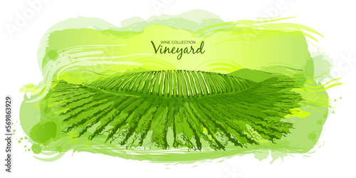 Watercolor green vineyard valley field on a small hill. Potato plantation farm. Wine logo label background. Rural scenery countryside landscape. Sketch vector hand draw illustration
