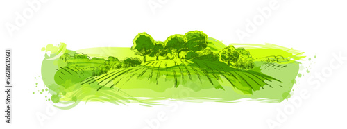 Watercolor green field landscape on small hill. Meadow grass, nature, pasturage, farm. Rural scenery landscape panorama of countryside pastures. Vector