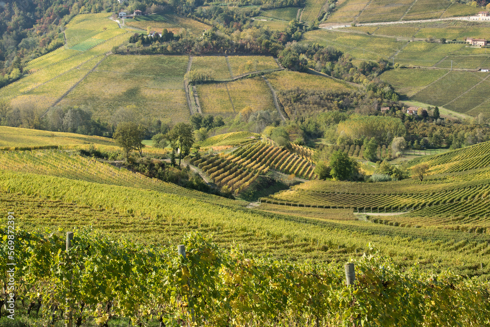 Autumn, view of the Italian Langhe.
View of hills with vines in autumn season. Piemonte, Langhe area.