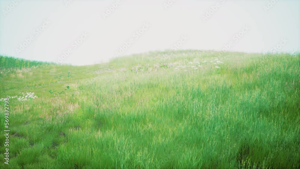 Landscape view of green grass on slope at sunrise