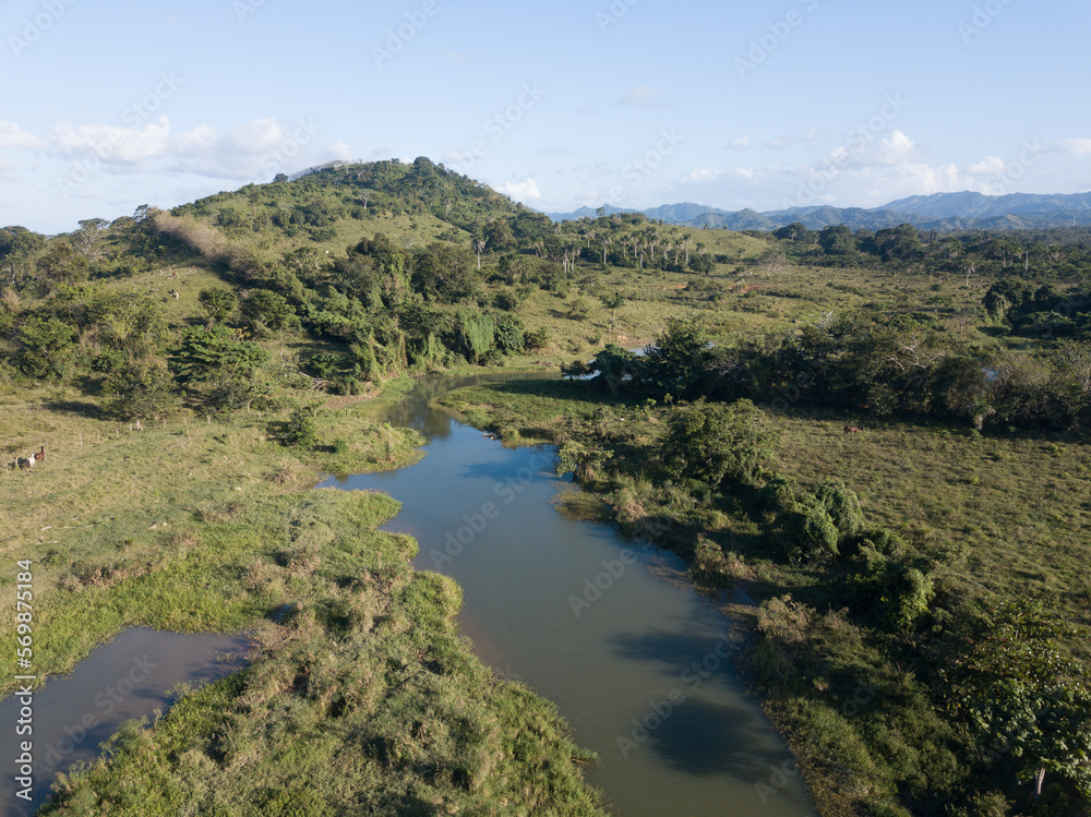 Jungle of the Dominican Republic birds view Jungle of the Dominican Republic birds view