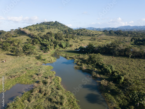 Jungle of the Dominican Republic birds view