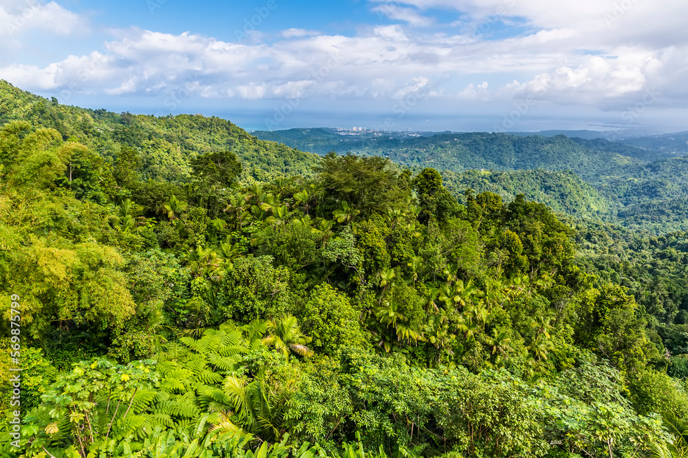 A view down from the mountain peak in the tropical rainforest in Puerto Rico on a bright sunny day
