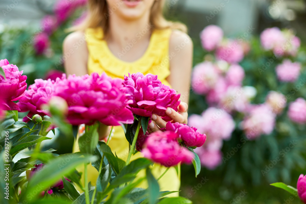 Little girl in the garden in bushes of peonies, child touch the flower Little girl in the garden in bushes of peonies, child touch the flower