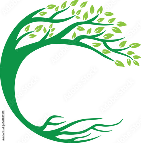 olive tree logo