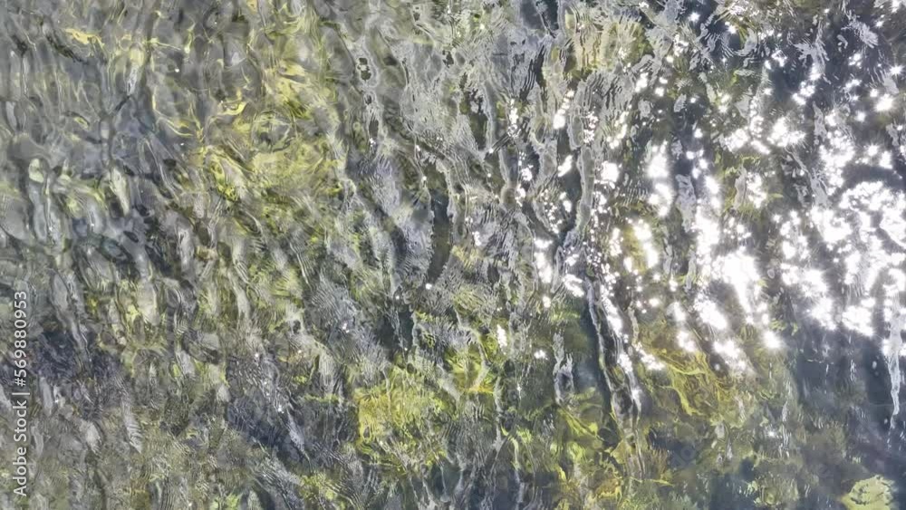 Seaweed and bull kelp growing on rocks in the ocean in australia. Waves moving seaweed over rock and flowing with the tide in Japan. Seaweed farm Seaweed and bull kelp growing on rocks in the ocean in australia. Waves moving seaweed over rock and flowing with the tide in Japan. Seaweed farm