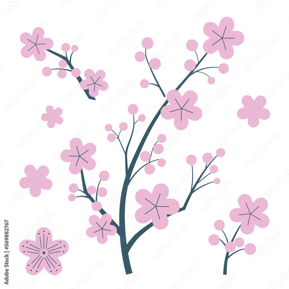 Japanese Cherry Blossom Branches with Sakura Flowers