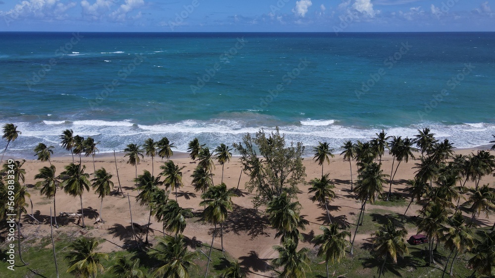 Caribbean tropical beach birds view Dominican Republic palms