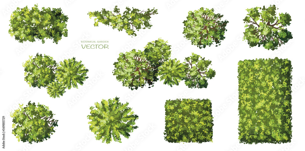 Vector watercolor of green tree top view isolated on white background for landscape layout plan and architecture drawing, elements for environment and garden,blooming botanical elements 