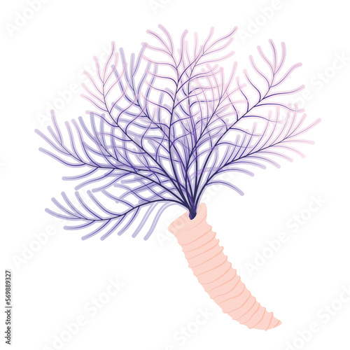 The underwater world of the ocean. Diving, Aquarium plant. White tiny tube worm  scene in marine reef aquarium. Sabellidae Vector stock illustration. Isolated on a white background.